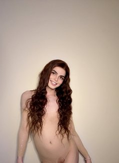 Rosarita lebanon big dick لبنانية 🇱🇧 - Acompañantes transexual in Riyadh Photo 30 of 30