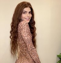 Rosarita lebanon big dick لبنانية 🇱🇧 - Acompañantes transexual in Riyadh Photo 25 of 25