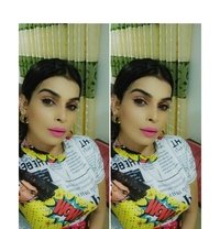 Roscel Daniyl - Transsexual escort in Colombo