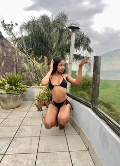 Rose - puta in Dubai Photo 1 of 6