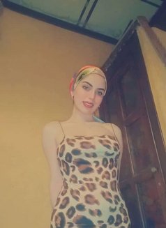 Rose - escort in Alexandria Photo 1 of 2