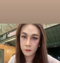 Rose’ - Transsexual escort in Bangkok