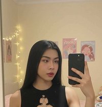 🏵Rose🏵 - Acompañantes transexual in Doha