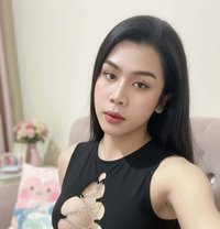 🏵Rose🏵 - Acompañantes transexual in Doha
