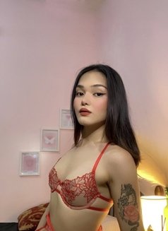 Rose (OUTCALL & CAMSHOW) - Transsexual escort in Manila Photo 7 of 7