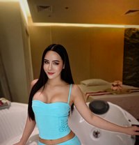 Rose ladyboy 🇹🇭 in AD - Transsexual escort in Abu Dhabi