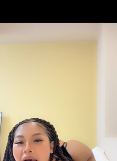 Rose. I’m in Yokosuka now - escort in Yokosuka Photo 12 of 12