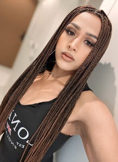 🇸🇦Rose…ladyboy69 With massage🇹🇭 - Transsexual escort in Riyadh Photo 10 of 13