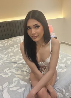 Rosé Last 7 Days - Transsexual escort in Khobar Photo 12 of 14