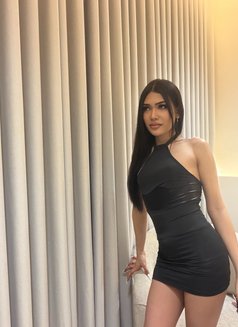 Rosé Last 7 Days - Transsexual escort in Khobar Photo 13 of 14