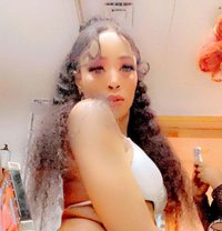 Rose - puta in Fujairah