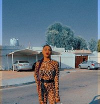 Rose - puta in Fujairah