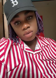 Rose - puta in Dehradun, Uttarakhand Photo 1 of 5