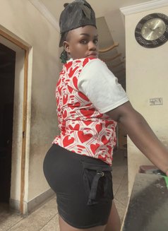 Rose - puta in Dehradun, Uttarakhand Photo 3 of 5