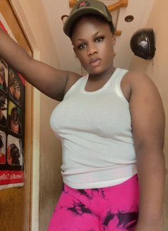 Rose - puta in Dehradun, Uttarakhand Photo 4 of 5