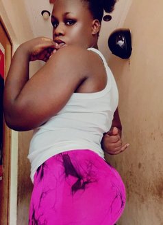 Rose - puta in Dehradun, Uttarakhand Photo 5 of 5