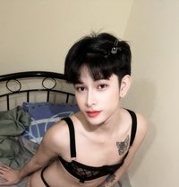 Rose Sexy Top Bigcock 🇹🇭 - Transsexual escort in Dubai
