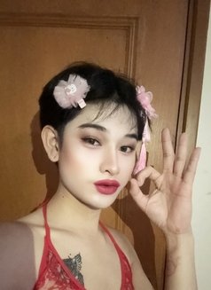 Rose Sexy Top Bigcock 🇹🇭 - Acompañantes transexual in Bangkok Photo 5 of 8