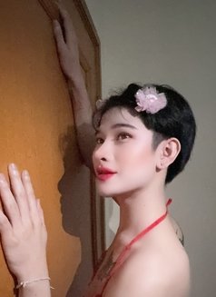 Rose Sexy Top Bigcock 🇹🇭 - Transsexual escort in Bangkok Photo 7 of 8