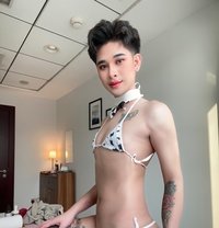 New Ladyboy Thailand - Transsexual escort in Riyadh Photo 1 of 5
