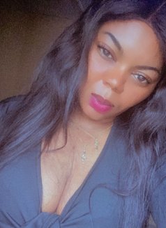 Rose - escort in Tabuk Photo 1 of 4