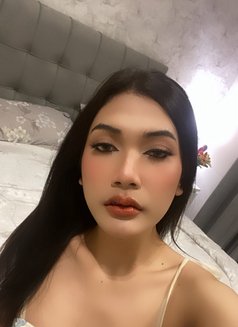 Rosé TH - Acompañantes transexual in Khobar Photo 5 of 7