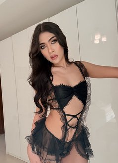 Rosé 🇹🇭 - Transsexual escort in Khobar Photo 5 of 6