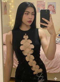 🏵Rose🏵 - Transsexual escort in Doha Photo 3 of 5