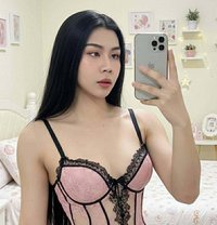 🏵Rose🏵 - Transsexual escort in Doha