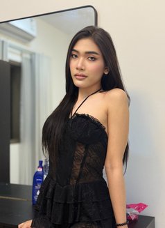 Rosé 🇹🇭 - Transsexual escort in Khobar Photo 4 of 6
