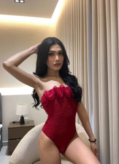 Rosé 🇹🇭 - Transsexual escort in Khobar Photo 15 of 18