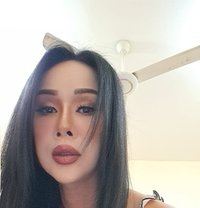 Rose - Transsexual escort in Muscat