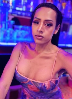 Rose - Acompañante transexual in Pattaya Photo 3 of 8