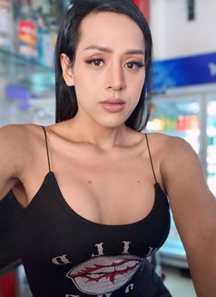 Rose - Acompañante transexual in Pattaya Photo 8 of 8