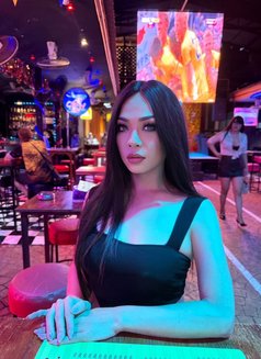 Rose - Transsexual escort in Phuket Photo 1 of 2