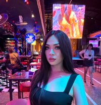 Rose - Acompañantes transexual in Phuket