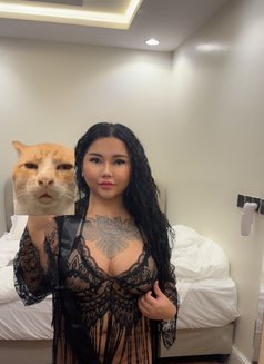 Rose Thai - escort in Riyadh Photo 8 of 9