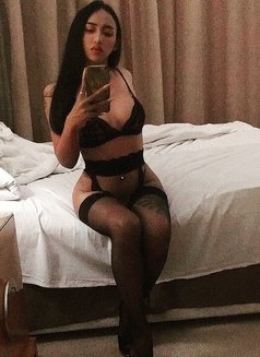 Rose Top Versatile Thai Porn Star - Acompañantes transexual in Dubai Photo 2 of 14