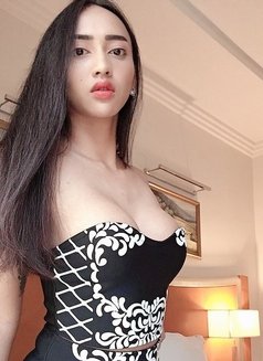 Rose Top Versatile Thai Porn Star - Acompañantes transexual in Dubai Photo 4 of 14