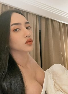 Rose Top Versatile Thai Porn Star - Transsexual escort in Dubai Photo 9 of 14