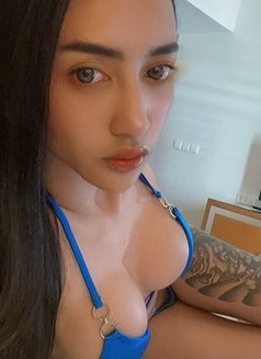 Rose Top Versatile Thai Porn Star - Acompañantes transexual in Dubai Photo 11 of 14
