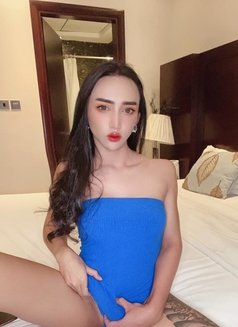 Rose Top Versatile Thai Porn Star - Transsexual escort in Dubai Photo 14 of 14