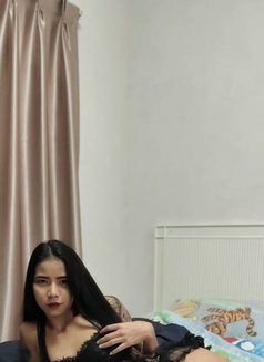 Rose19 - puta in Phuket Photo 5 of 5