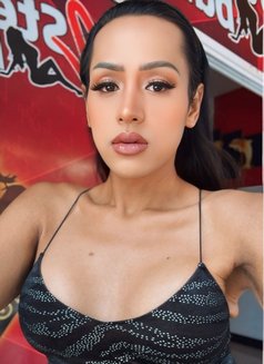 Rose2 - Agencia de acompañantes transexuales in Pattaya Photo 3 of 8