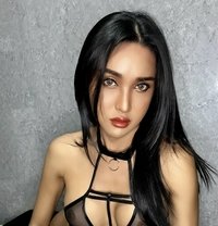 Rose69bkk - Transsexual escort in Bangkok