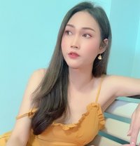 Miki - Transsexual escort in Phnom Penh