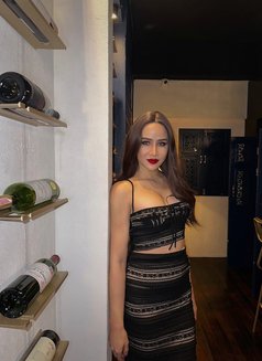 Rosesarin ladyboy 🇹🇭 - Transsexual escort in Abu Dhabi Photo 3 of 8