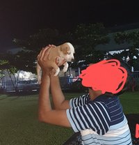 Roshan Shah - Male escort in Mumbai