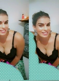 Rochl❤ cam service available - Acompañantes transexual in Colombo Photo 28 of 29