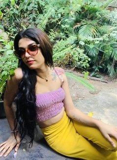 Roshel Dekkor Best cam Sessions - Transsexual escort in Colombo Photo 14 of 25